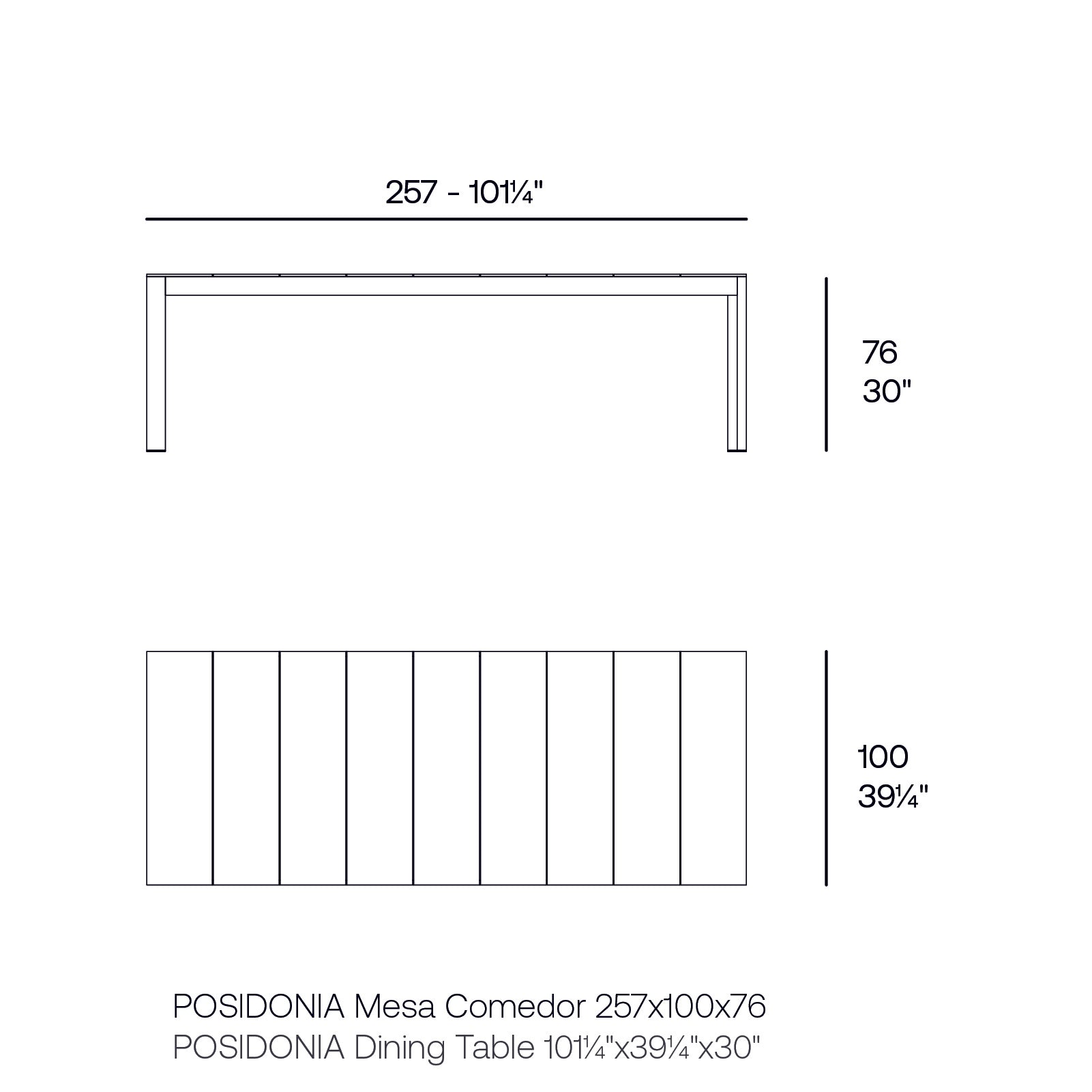 Posidonia Dining Table 100X250X76cm