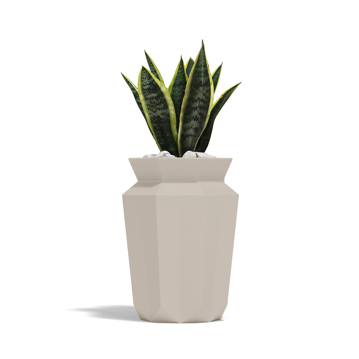 Origami Hasu 57X57X80