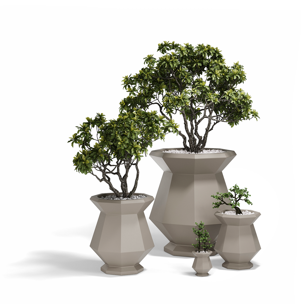 Origami Kashi 62,5X62,5X80