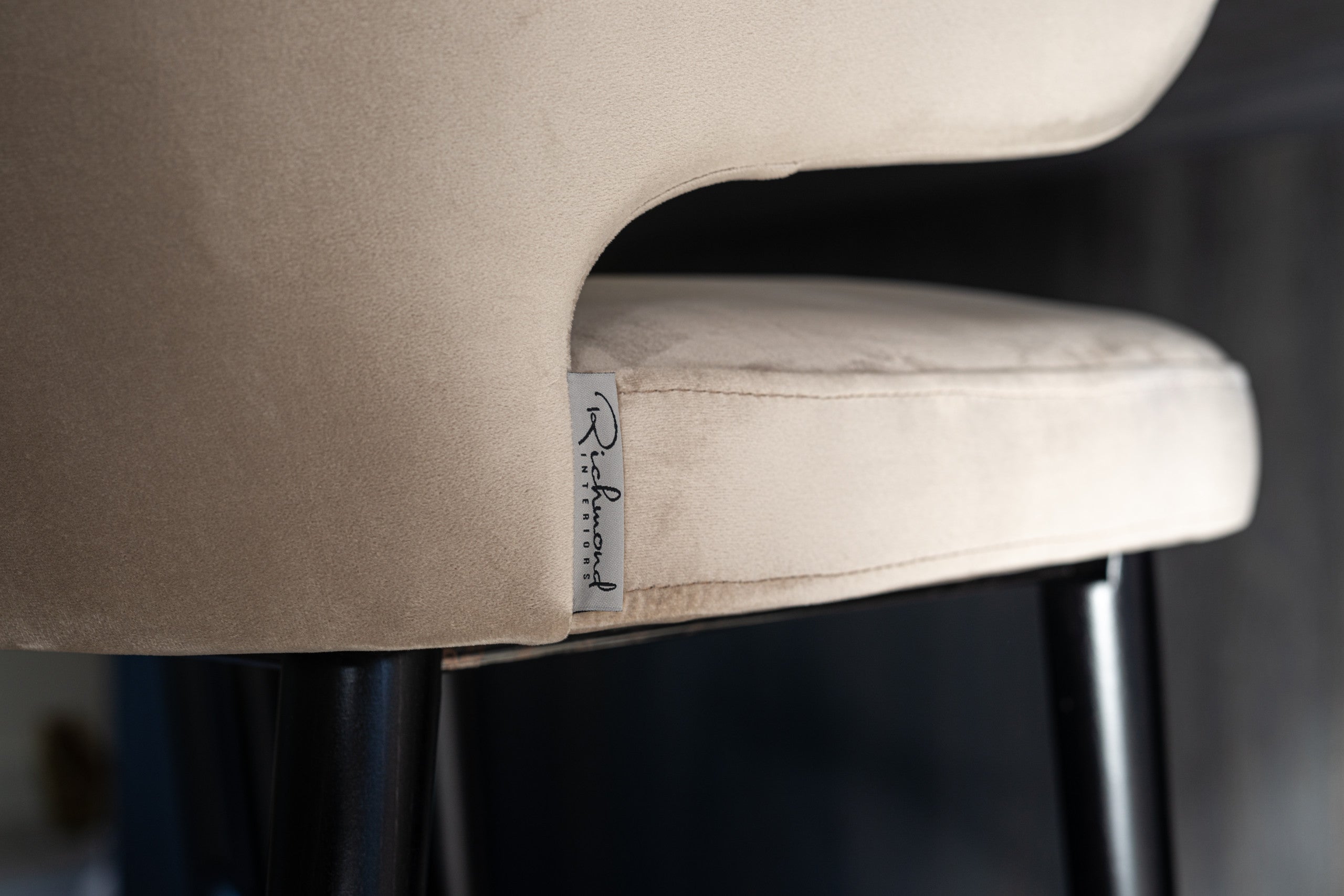 Dining chair Indigo khaki velvet