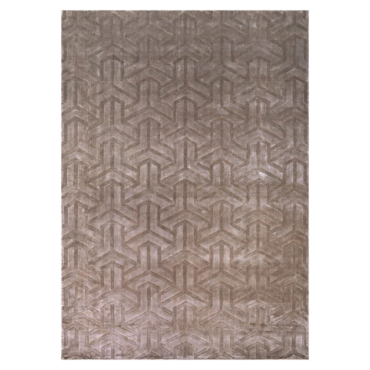 Carpet Arles taupe 200x300