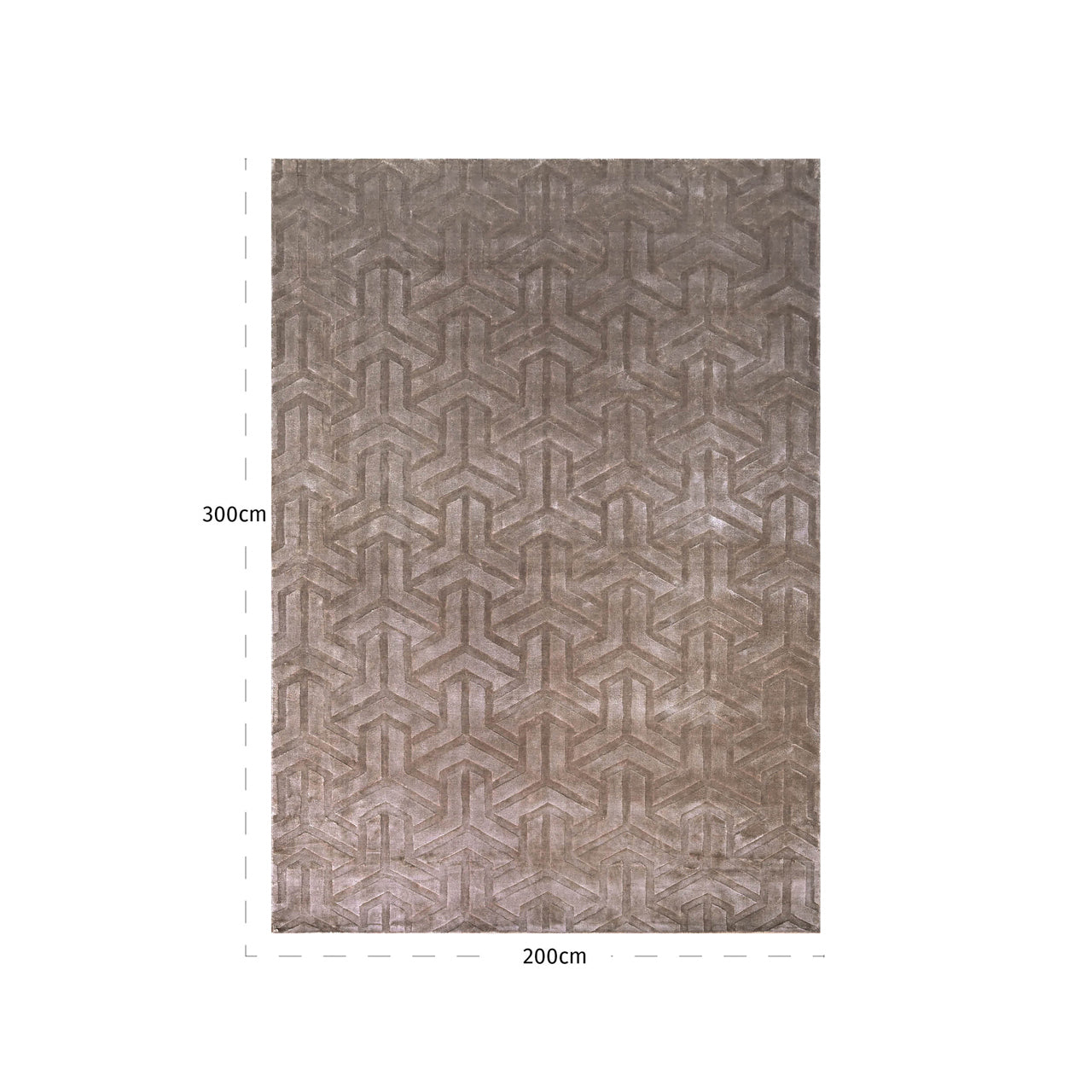 Carpet Arles taupe 200x300