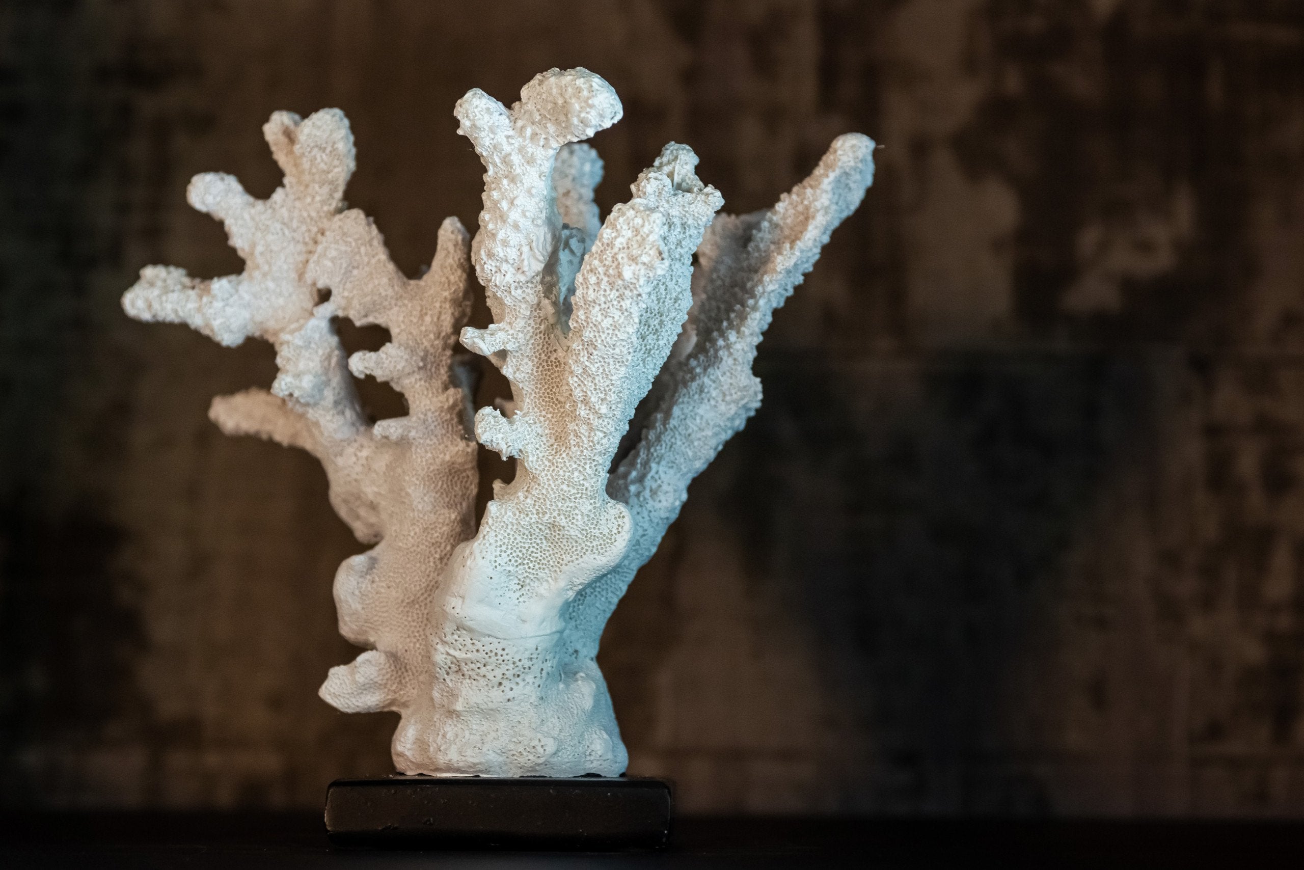 Display cabinet Cambon dark coffee