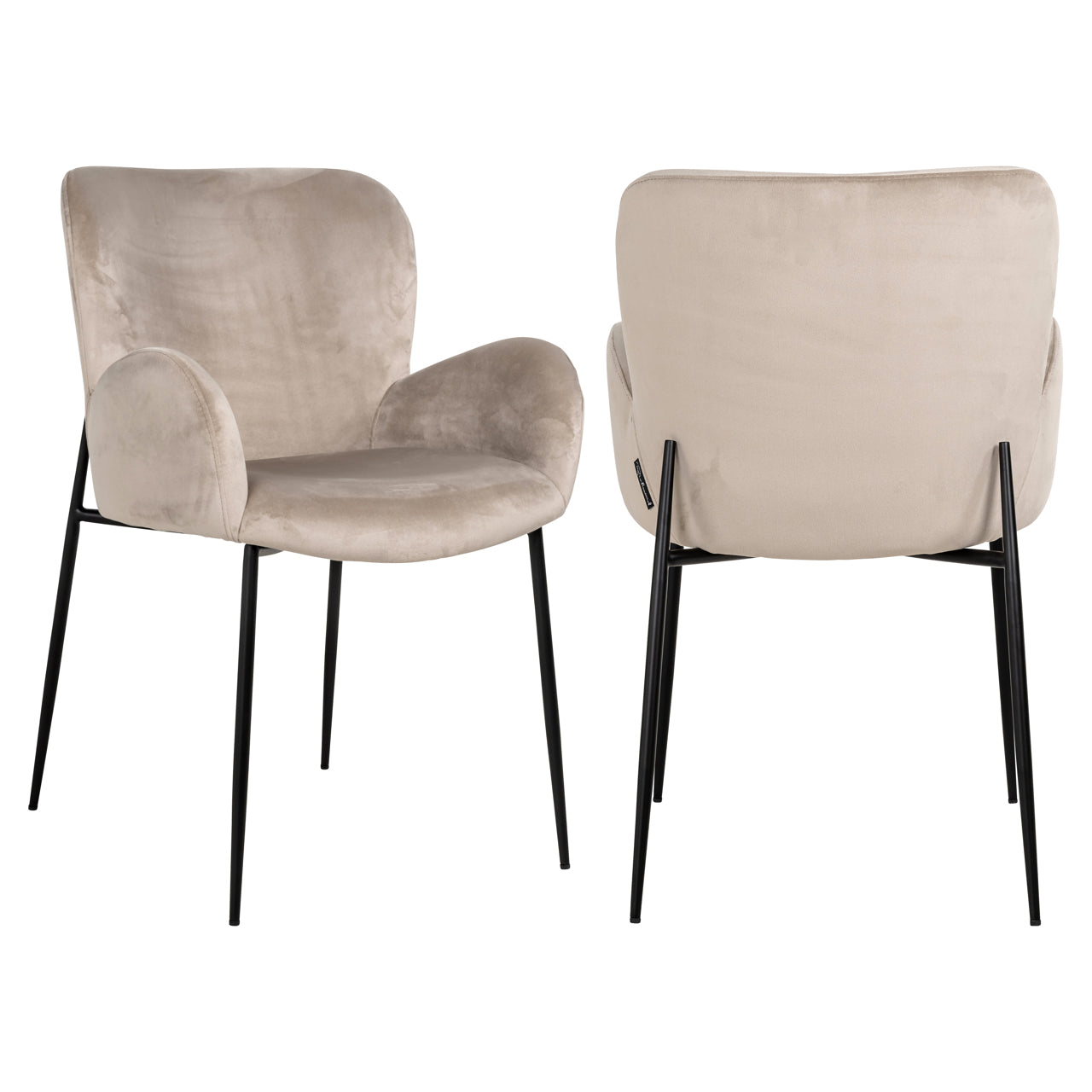 Dining chair Amber khaki velvet fire retardant