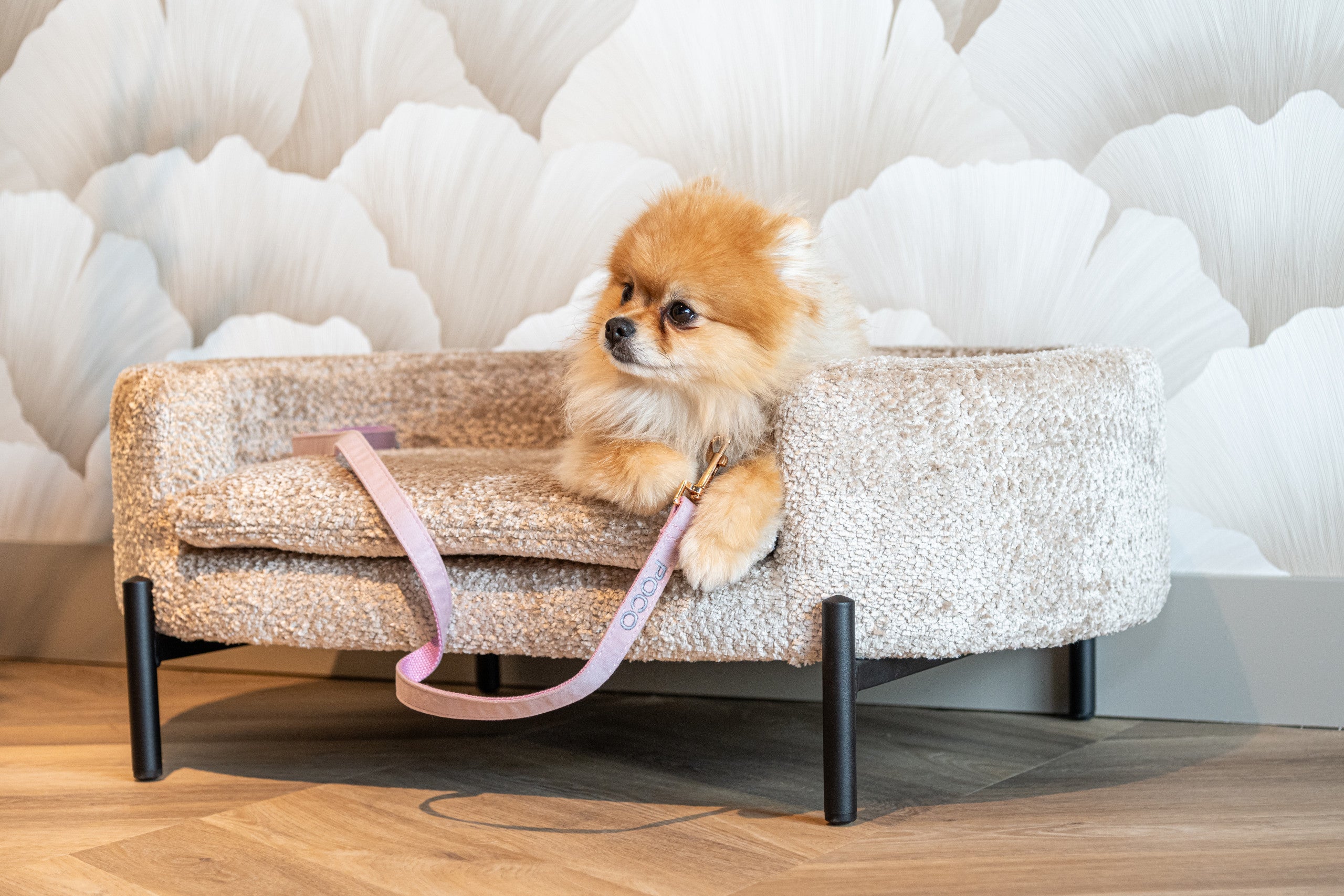 Pet bed Dolly beige blockweave