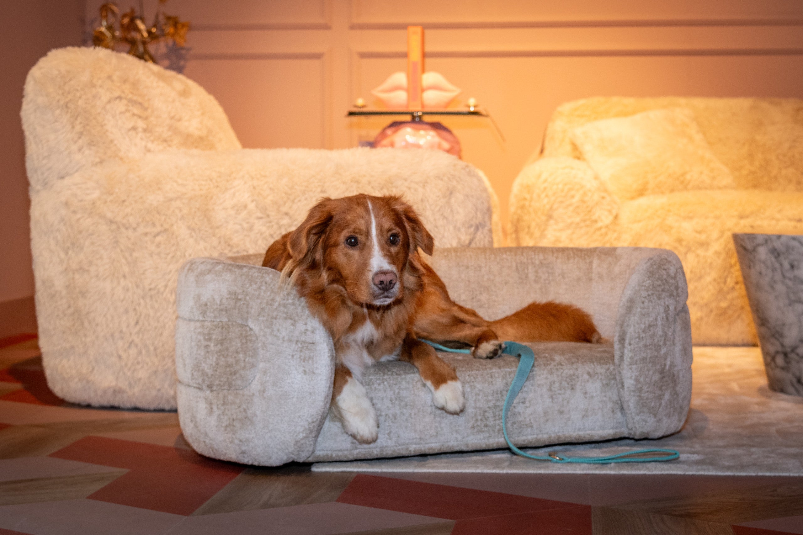 Pet bed Bingo clay chenille